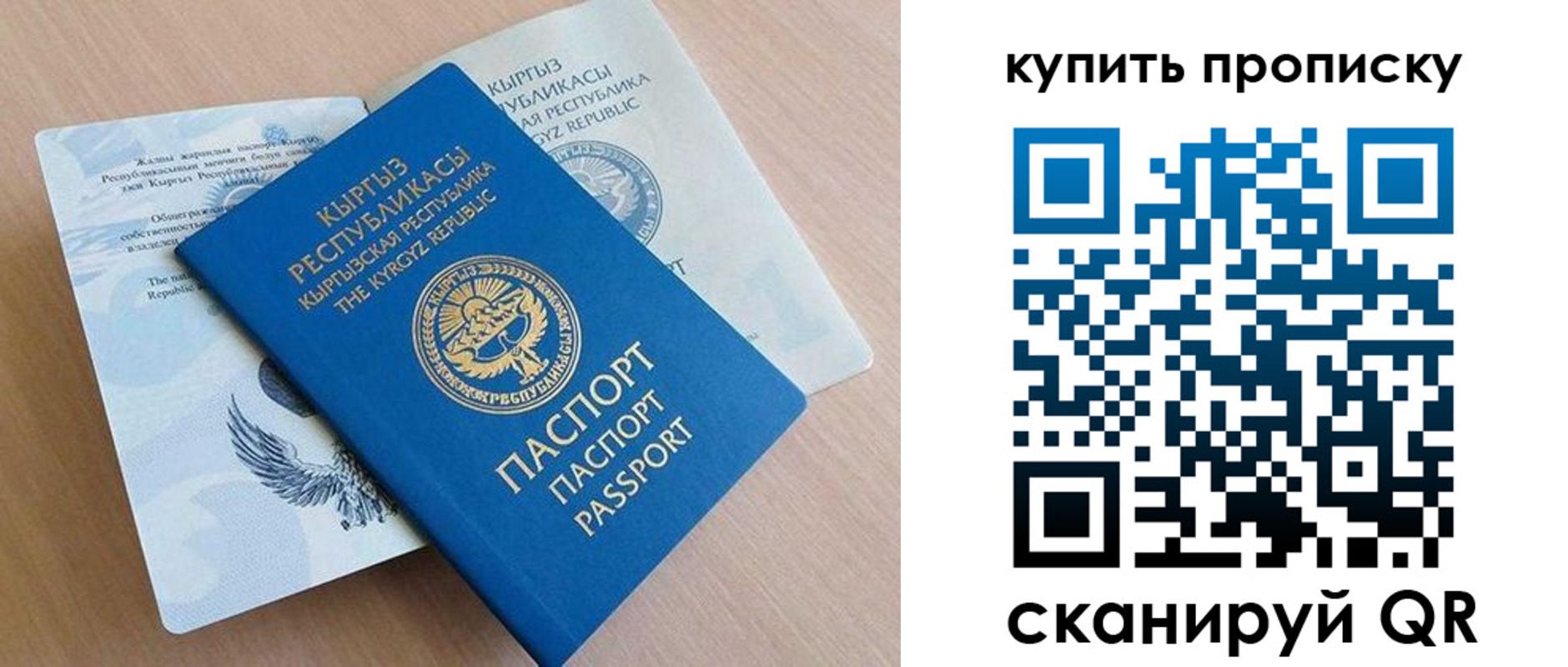 временная регистрация поиск в Ярославской области